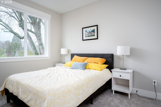 carpeted bedroom with multiple windows