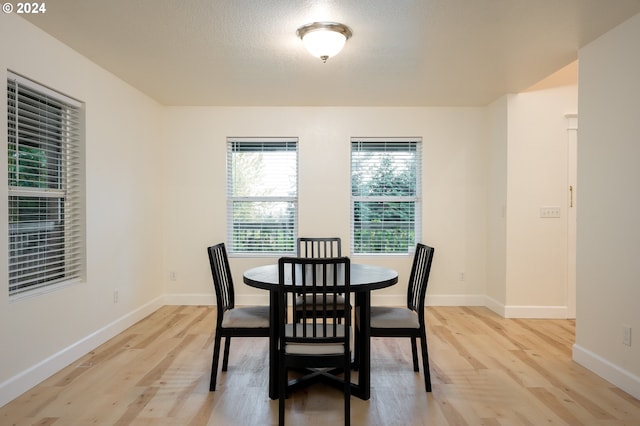 dining room with light hardwood / wood-style floors