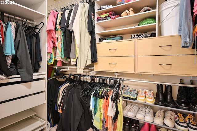 view of spacious closet