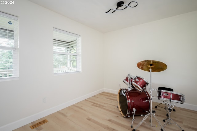 misc room with light wood-type flooring and a wealth of natural light