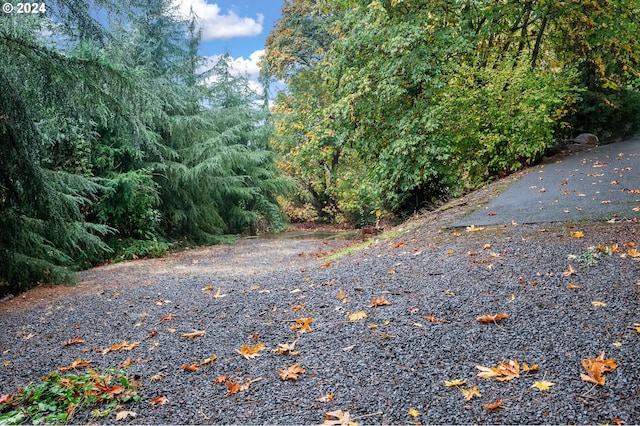 view of road