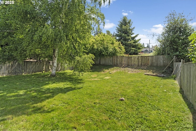 410 E D St, Rainier, OR 97048 - view of yard