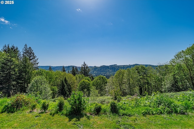 42810 NE 244th Ave, Amboy, WA 98601 - mountain view with a forest