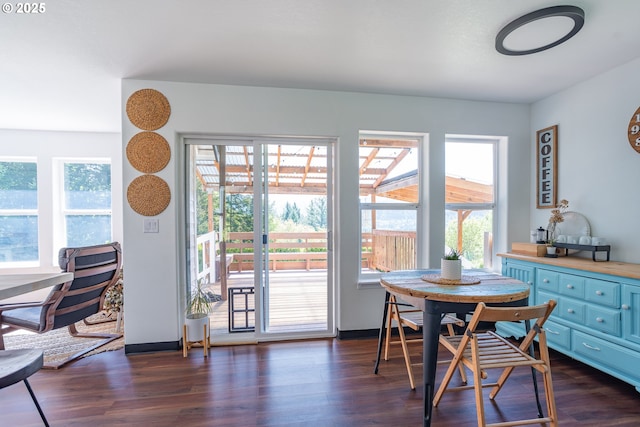 42810 NE 244th Ave, Amboy, WA 98601 - dining room featuring dark wood-style floors