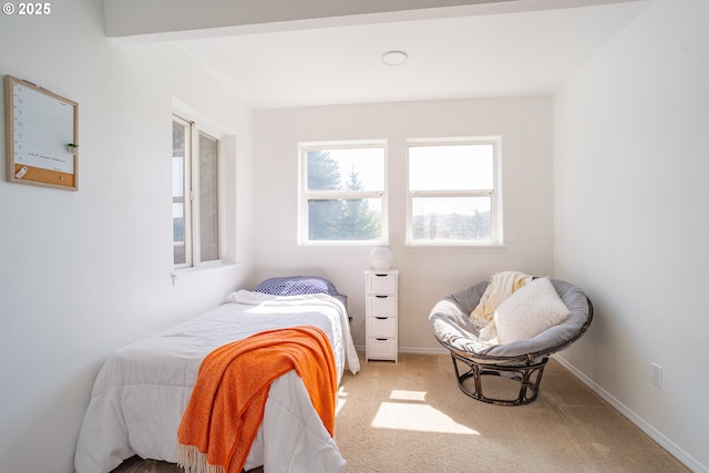 42810 NE 244th Ave, Amboy, WA 98601 - carpeted bedroom with baseboards