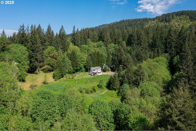 42810 NE 244th Ave, Amboy, WA 98601 - view from above of property with a forest