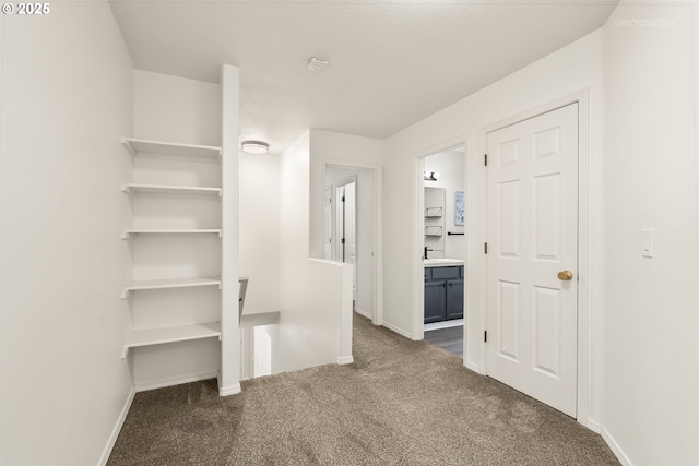 spacious closet with carpet flooring