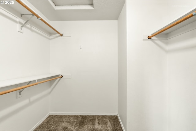 spacious closet featuring attic access and carpet