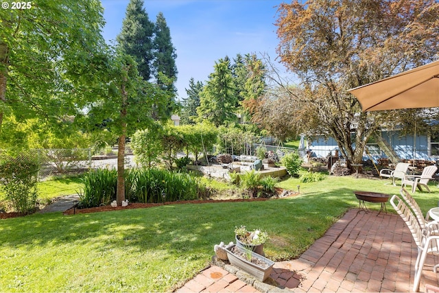 view of yard with a patio and an outdoor fire pit