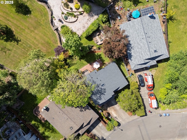 bird's eye view
