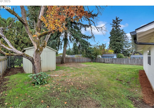 view of yard featuring a storage unit