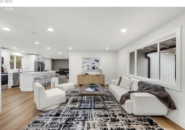 living room featuring sink and light hardwood / wood-style floors