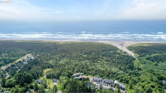 2801 Willows Rd Unit 1, Seaview, WA 98644 - bird's eye view of a heavily wooded area and a nearby body of water