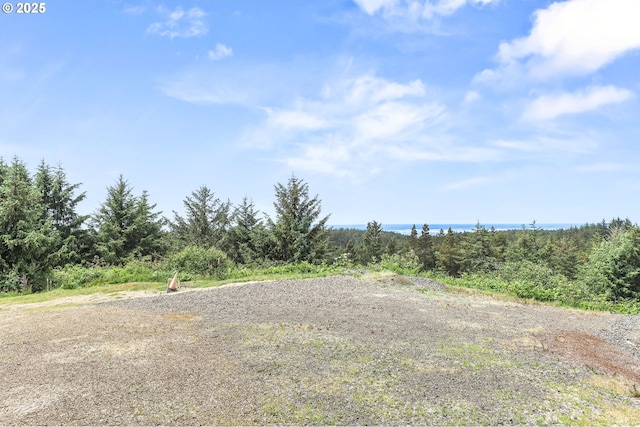 2801 Willows Rd Unit 1, Seaview, WA 98644 - view of yard featuring a water view