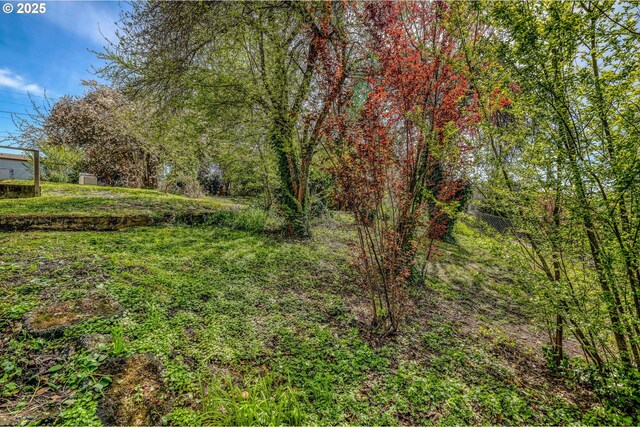 644 4th St, Myrtle Point, OR 97458 - exterior space