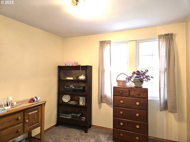 interior space with baseboards, multiple windows, and dark carpet