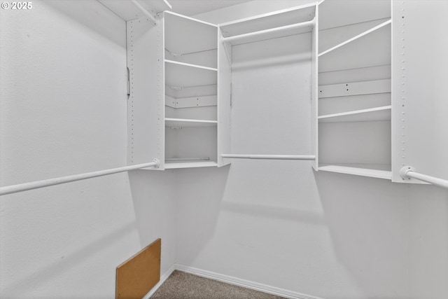 19338 Inishbride Ct, Oregon City, OR 97045 - walk in closet with carpet floors