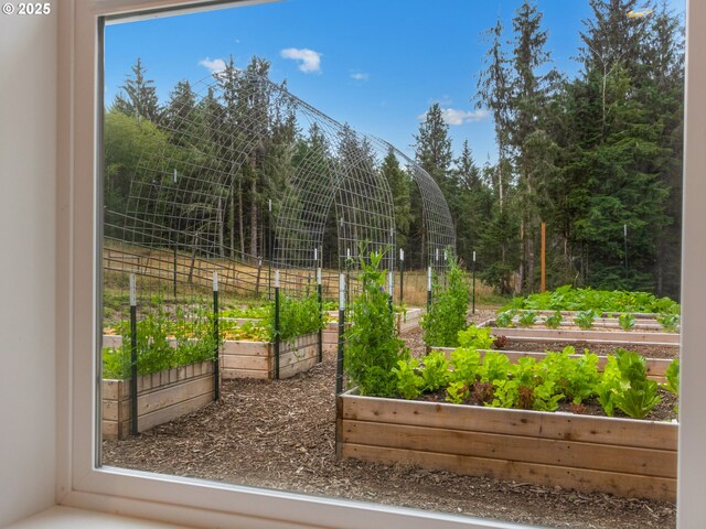 37330 Labiske Ln, Astoria, OR 97103 - detailed view of a vegetable garden
