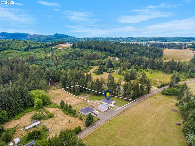 37330 Labiske Ln, Astoria, OR 97103 - aerial view of property's location featuring a forest, a mountainous background, and property parcel outlined
