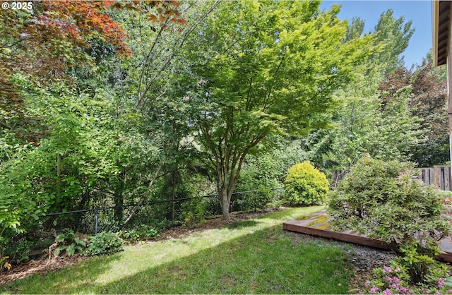 555 NE 58th Ave, Hillsboro, OR 97124 - view of yard