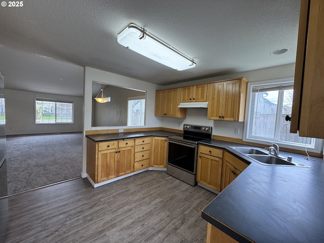 kitchen with under cabinet range hood, a sink, electric range, and dark countertops