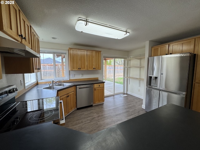 kitchen featuring dark wood-type flooring, a sink, plenty of natural light, and stainless steel appliances
