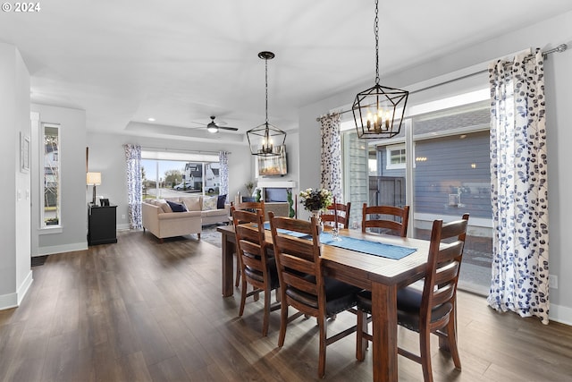 dining space featuring ceiling fan with notable chandelier, dark hardwood / wood-style floors, and a raised ceiling