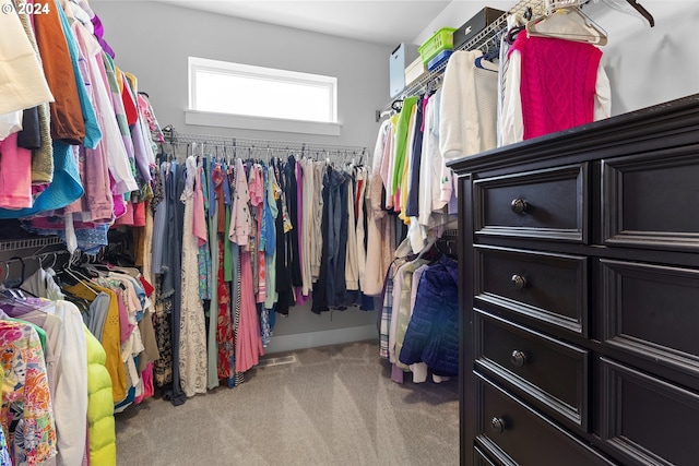 spacious closet with light carpet