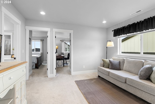 living room featuring light colored carpet