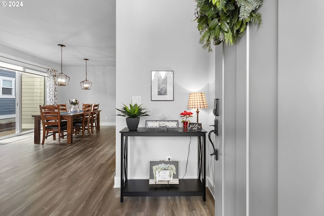 interior space featuring decorative light fixtures and dark hardwood / wood-style floors