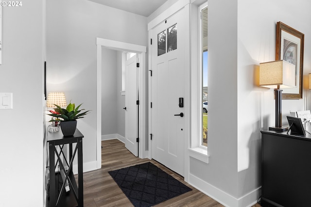 entryway with dark hardwood / wood-style flooring