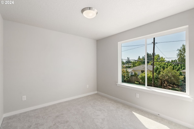 empty room featuring light colored carpet