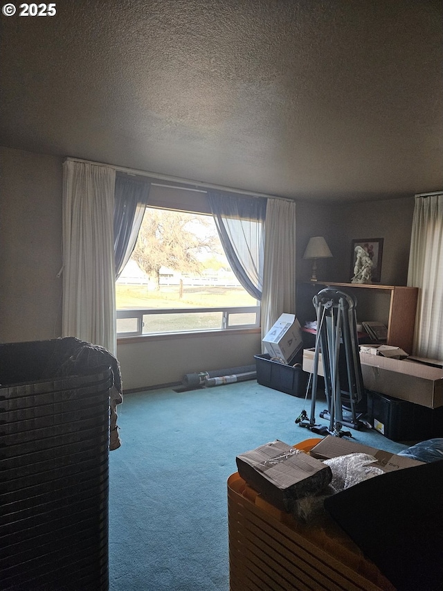 carpeted bedroom with a textured ceiling