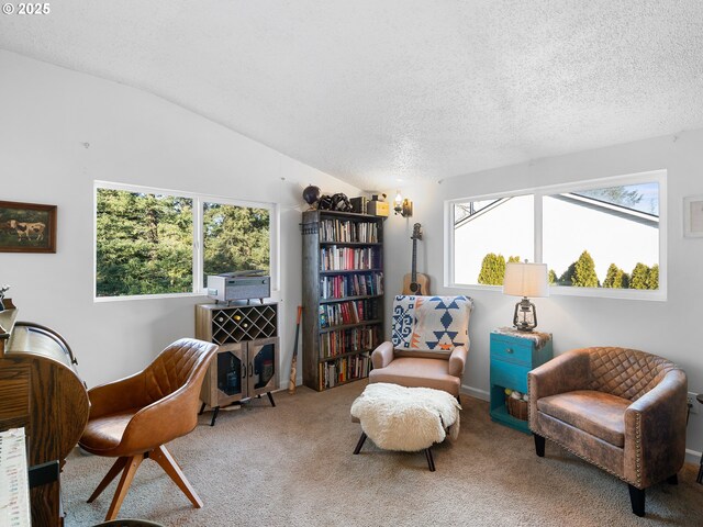 sitting room with light colored carpet, lofted ceiling, and a textured ceiling