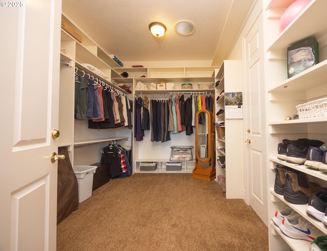 walk in closet with carpet floors