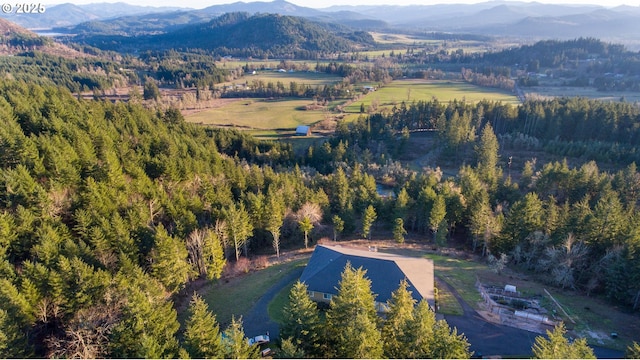 bird's eye view with a mountain view