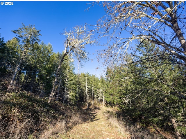 view of local wilderness