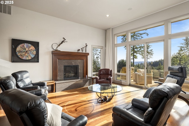 living room featuring a fireplace and hardwood / wood-style flooring