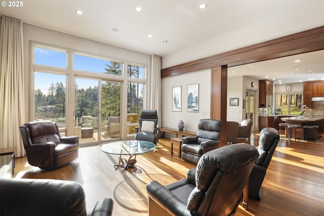 living room with light hardwood / wood-style flooring