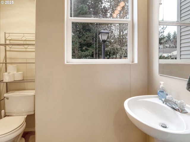 bathroom featuring toilet, sink, and a wealth of natural light