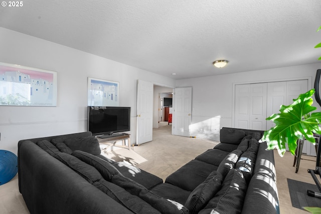 living room featuring a textured ceiling