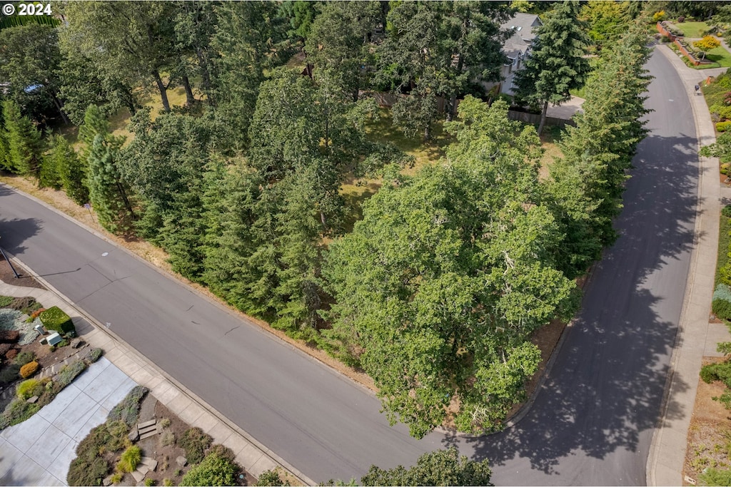 Blacktail, Eugene, OR 97405