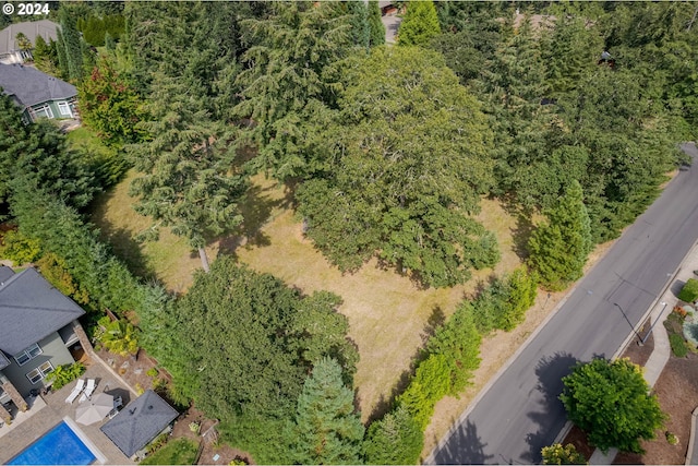 Blacktail, Eugene, OR 97405