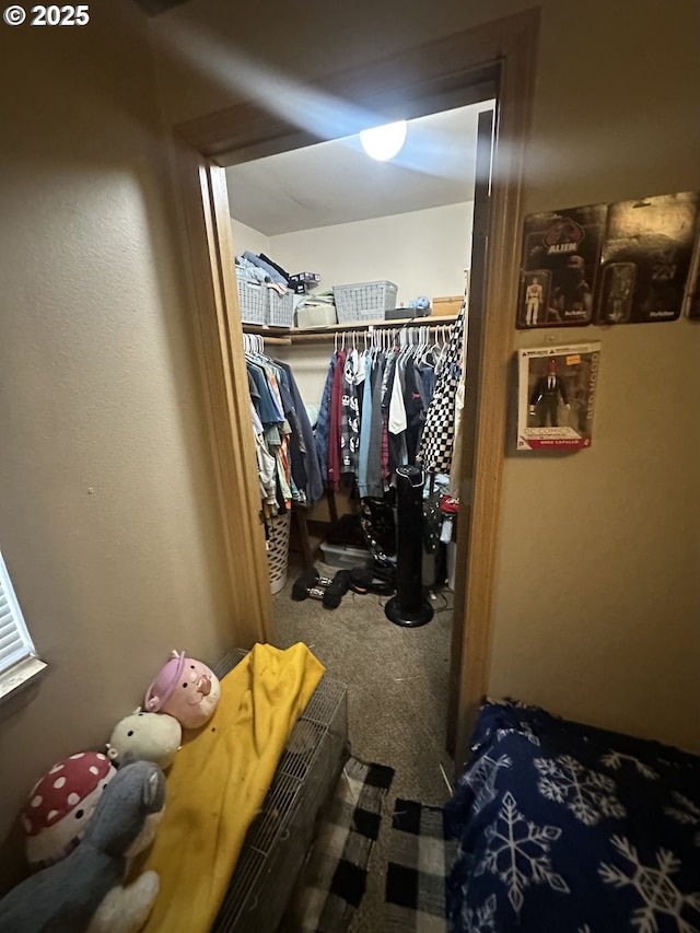 spacious closet with carpet