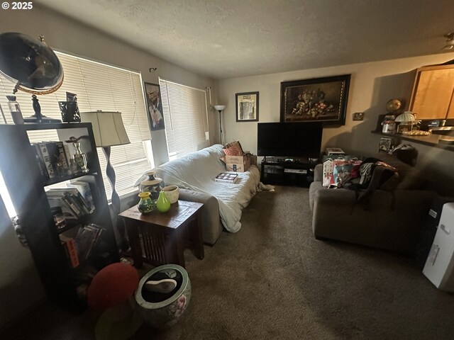 living room with carpet flooring and a textured ceiling