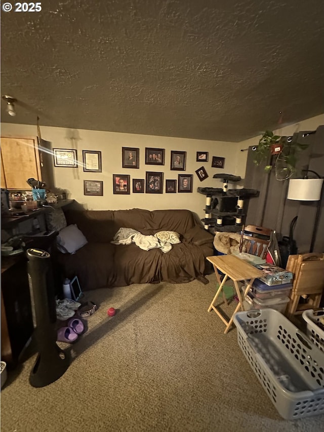 carpeted living area featuring a textured ceiling