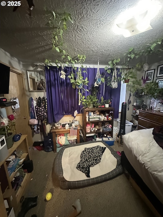 bedroom with a textured ceiling