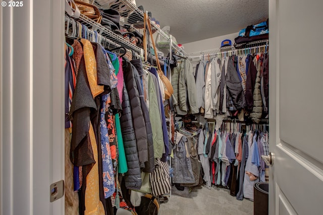 spacious closet featuring carpet floors