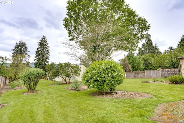 5818 SW Boundary St, Portland, OR 97221 - view of yard