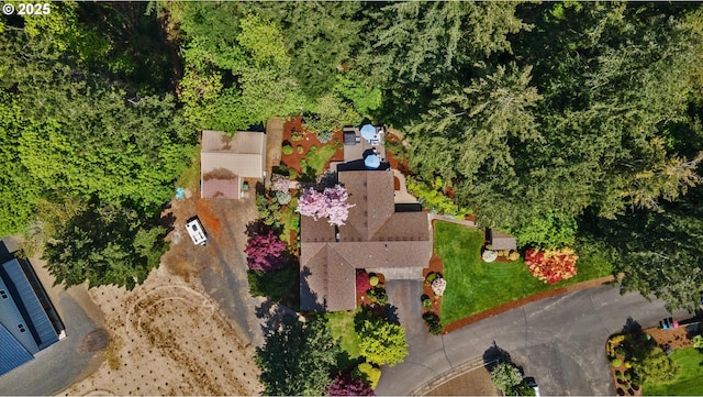 drone / aerial view